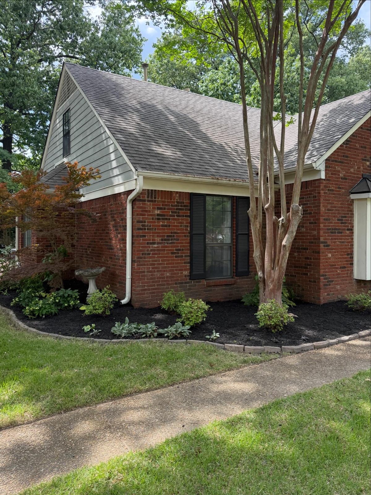 After — Memphis lawn care results