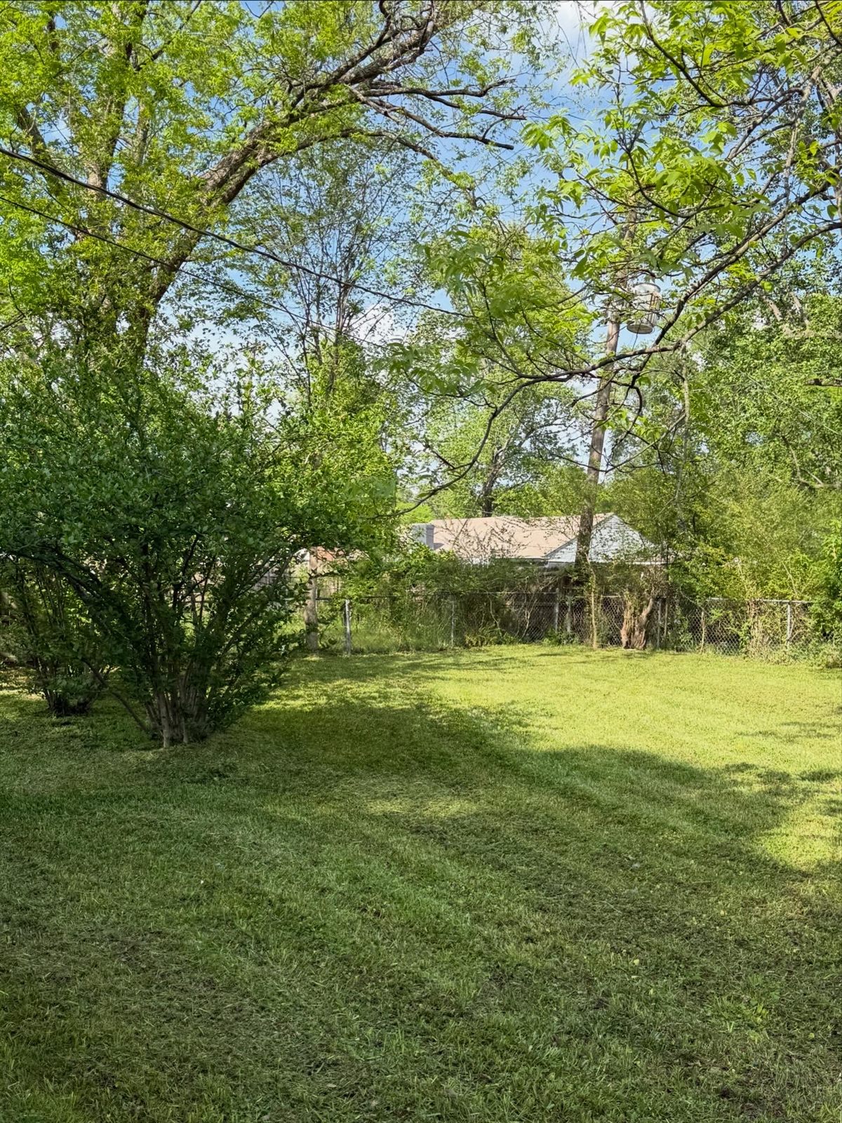 After — Memphis lawn care service results