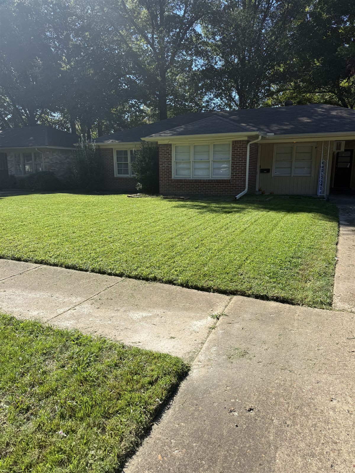 After — Memphis lawn care results