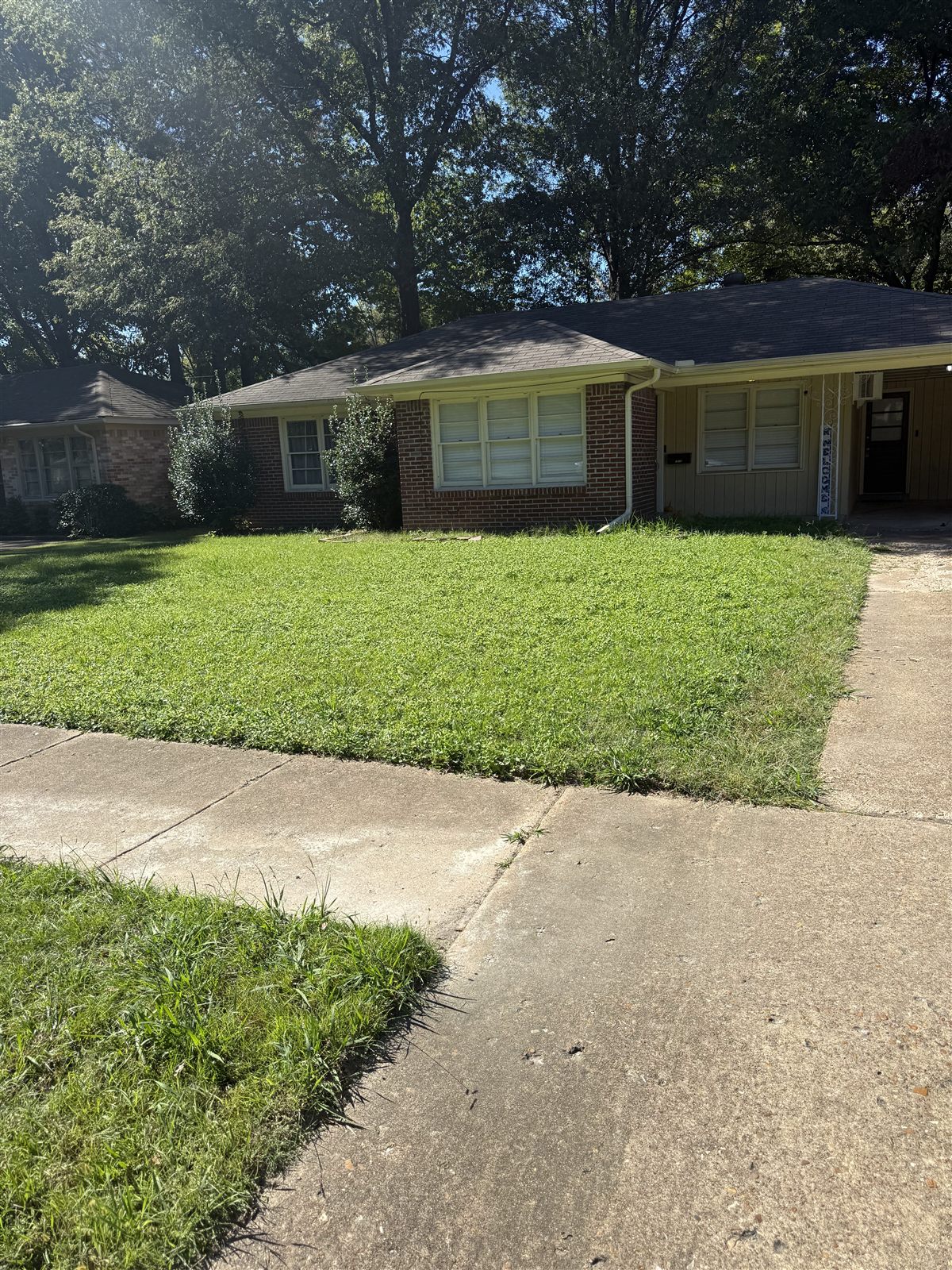 Before — Memphis lawn care service