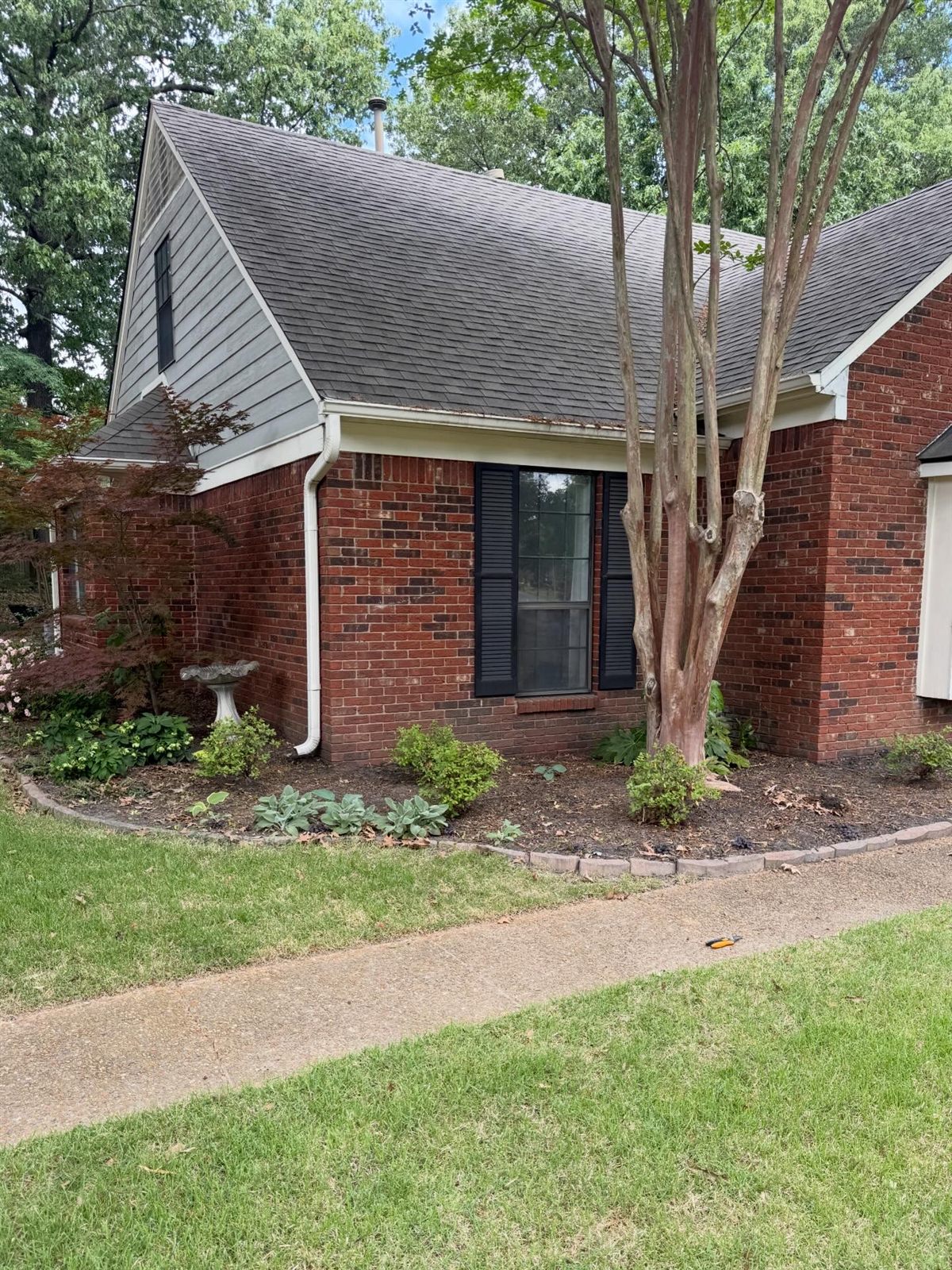 Before — Memphis lawn care service