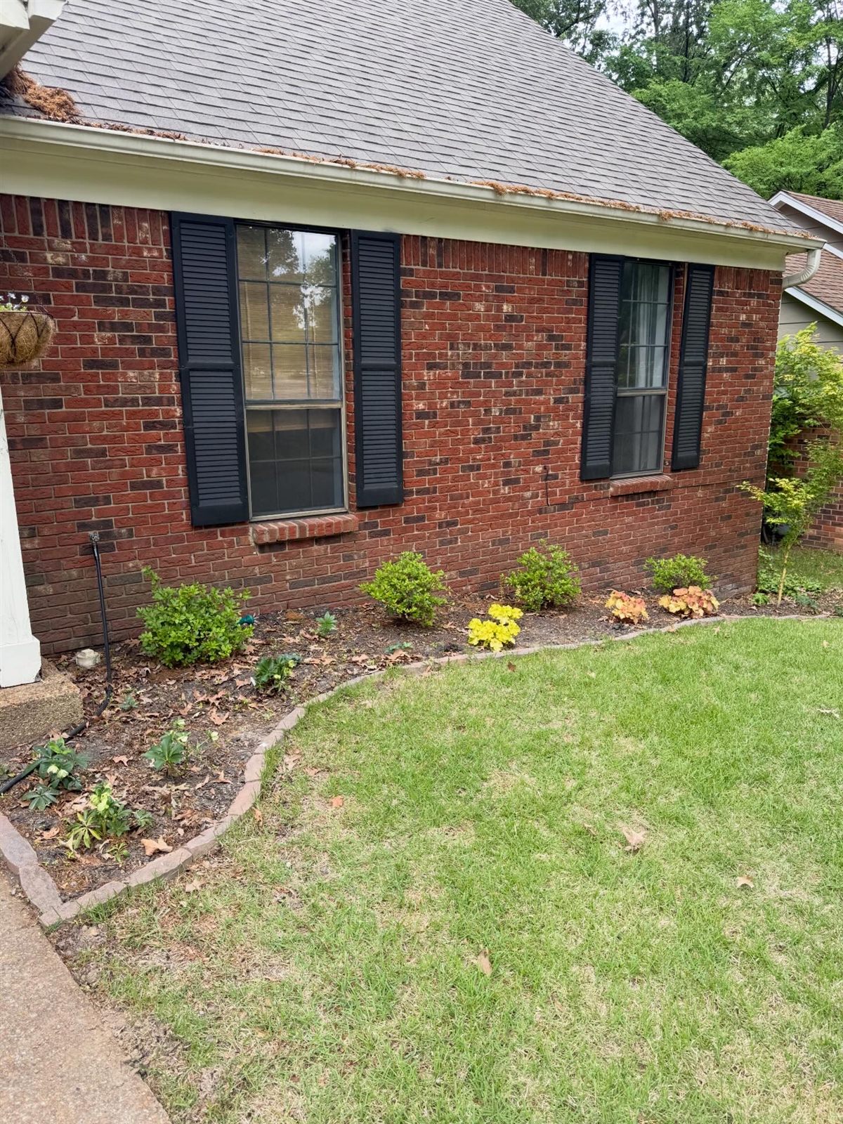 Before — Memphis lawn care service