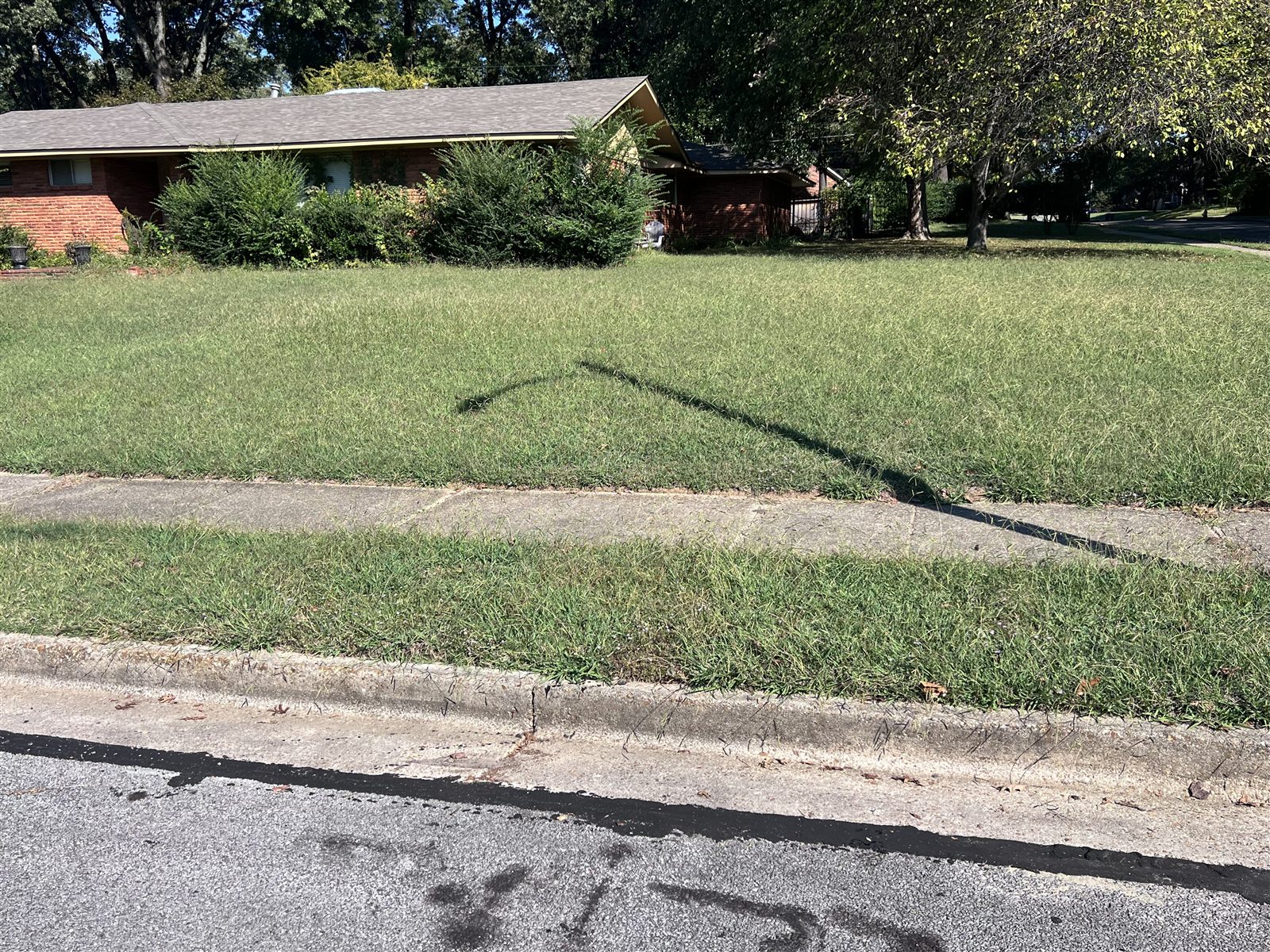 Before — Memphis lawn care service