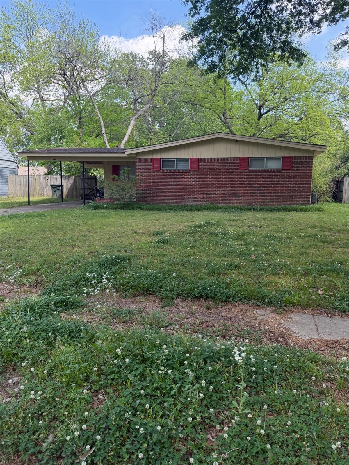 Before — Memphis lawn care service