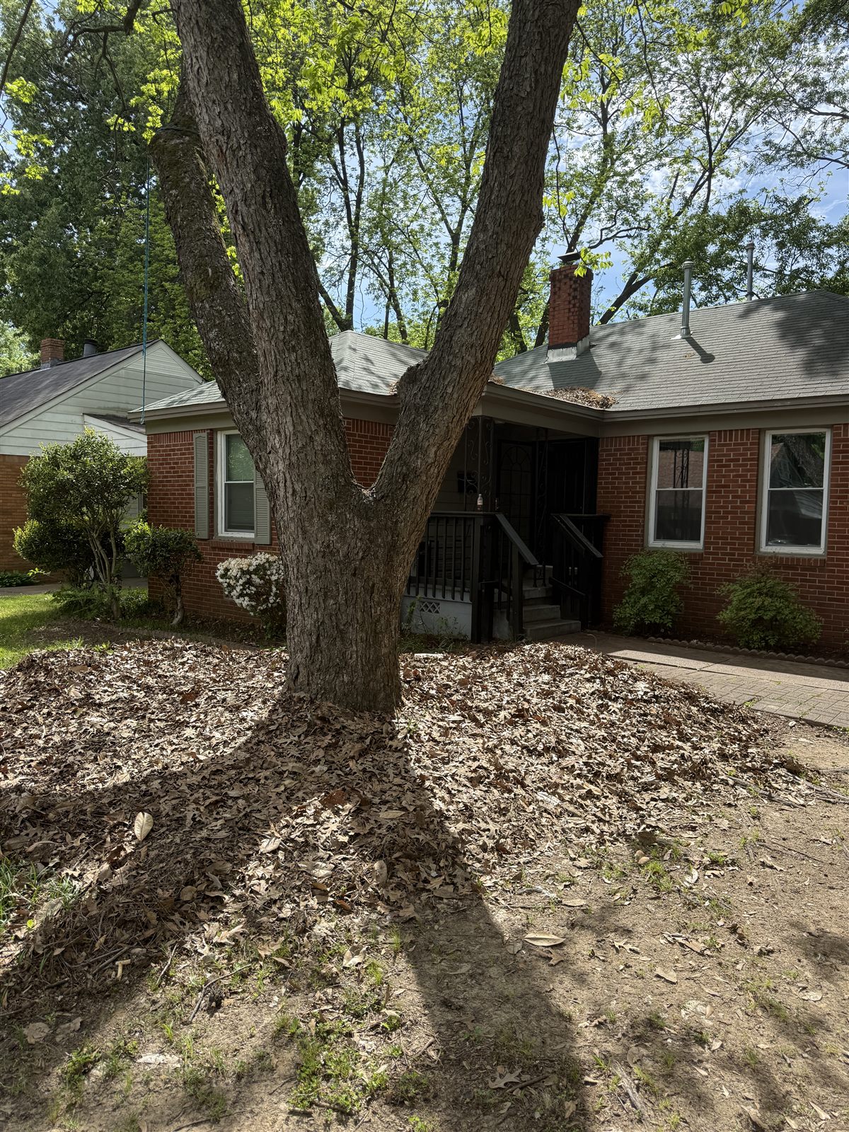 Before — Memphis property maintenance service