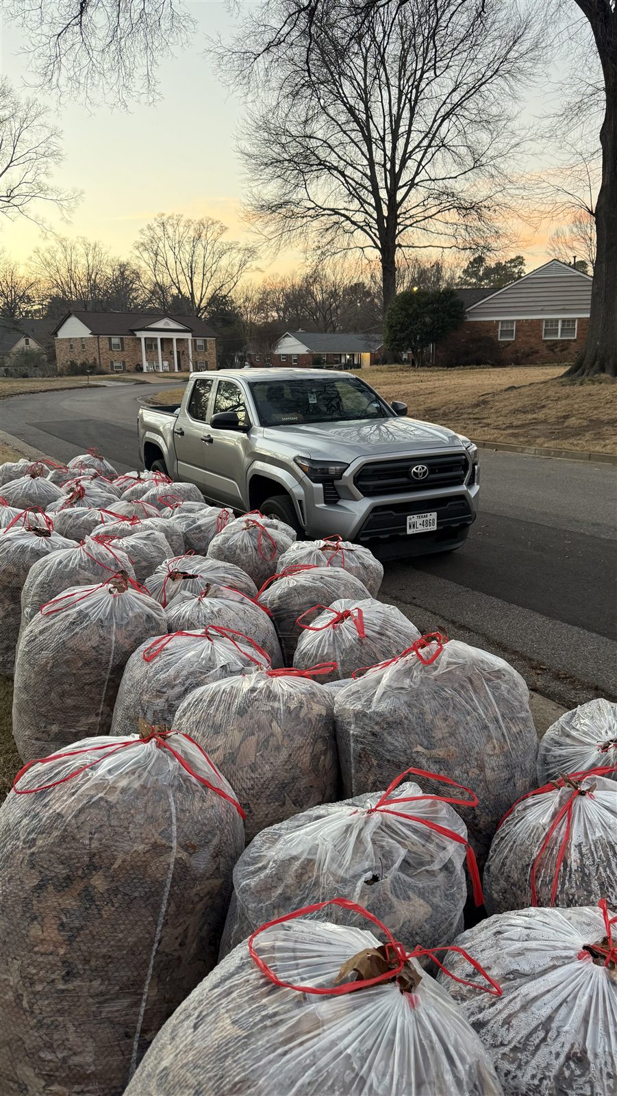 Leaf cleanup service